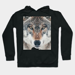 Wolf Alpha Allegiance Hoodie